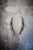Stickii bronzed steel earrings