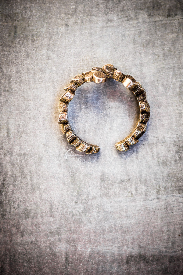 Tubii bronzed steel ring II