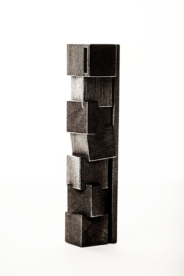 Plantaë cubus-contortus VII Rustic Steel