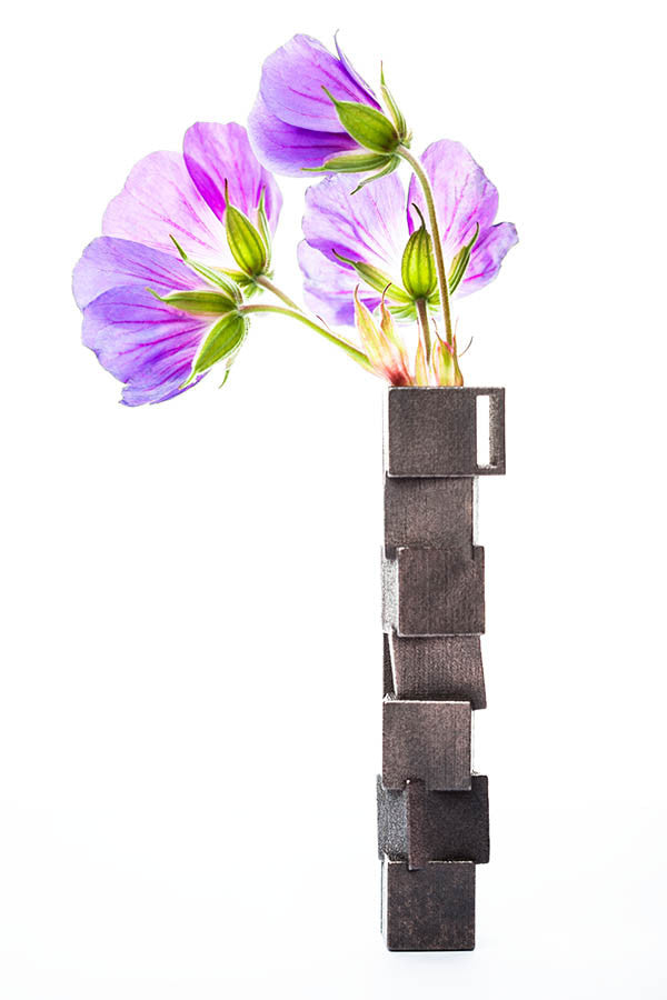 Plantaë cubus-contortus VII Rustic Steel