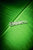 Voronoii MAN silver tie bar